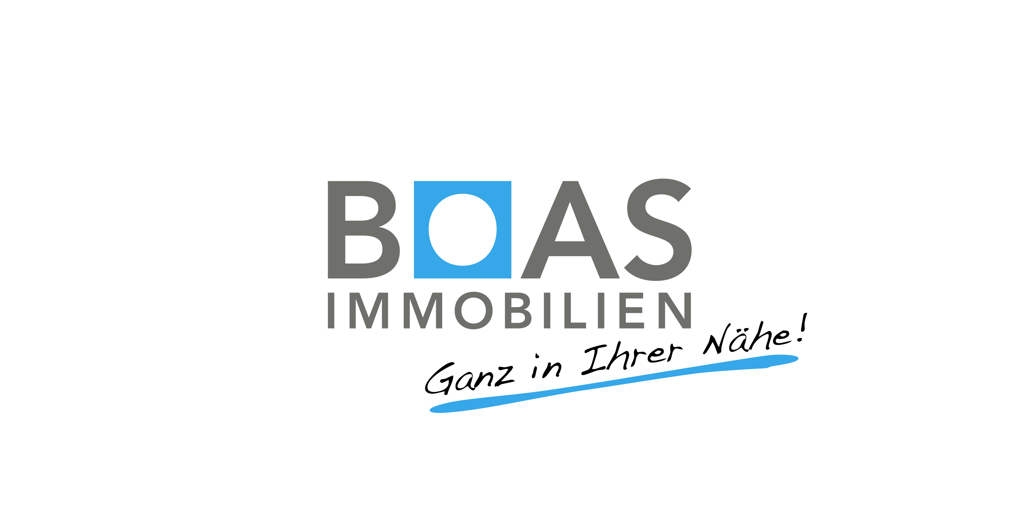 BOAS Website Start